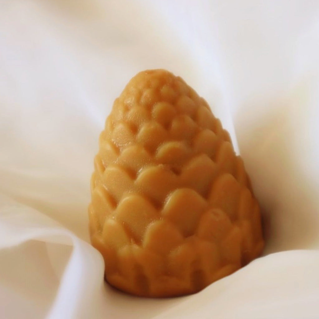 Pinecone Soap Bar Soap Las Brewhas