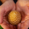 Pinecone Soap Bar Soap Las Brewhas
